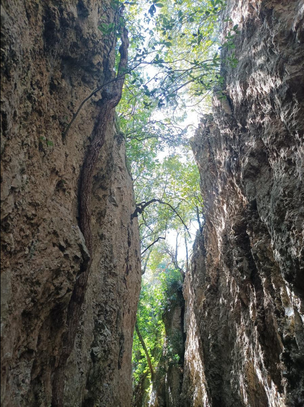 Un'altra immagine della spaccatura