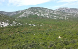 L'altopiano del Golgo