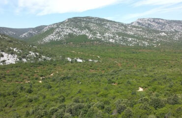 L'altopiano del Golgo