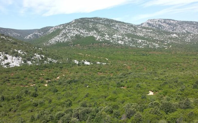 L'altopiano del Golgo