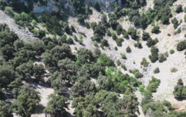 L'interno di Su Suercone