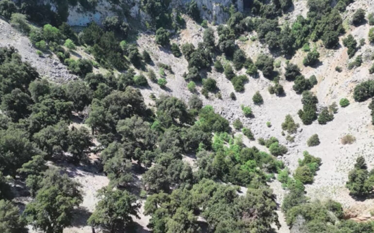 L'interno di Su Suercone