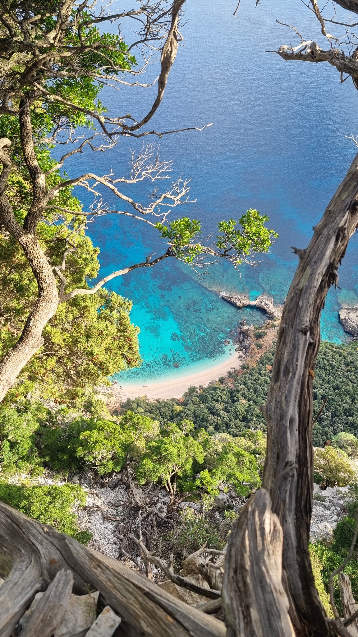 festival del supramonte