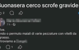 Nuova bufera tra Enrico Rizzi e mondo agropastorale sardo: l’attivista attacca i “baratti di animali” su Facebook