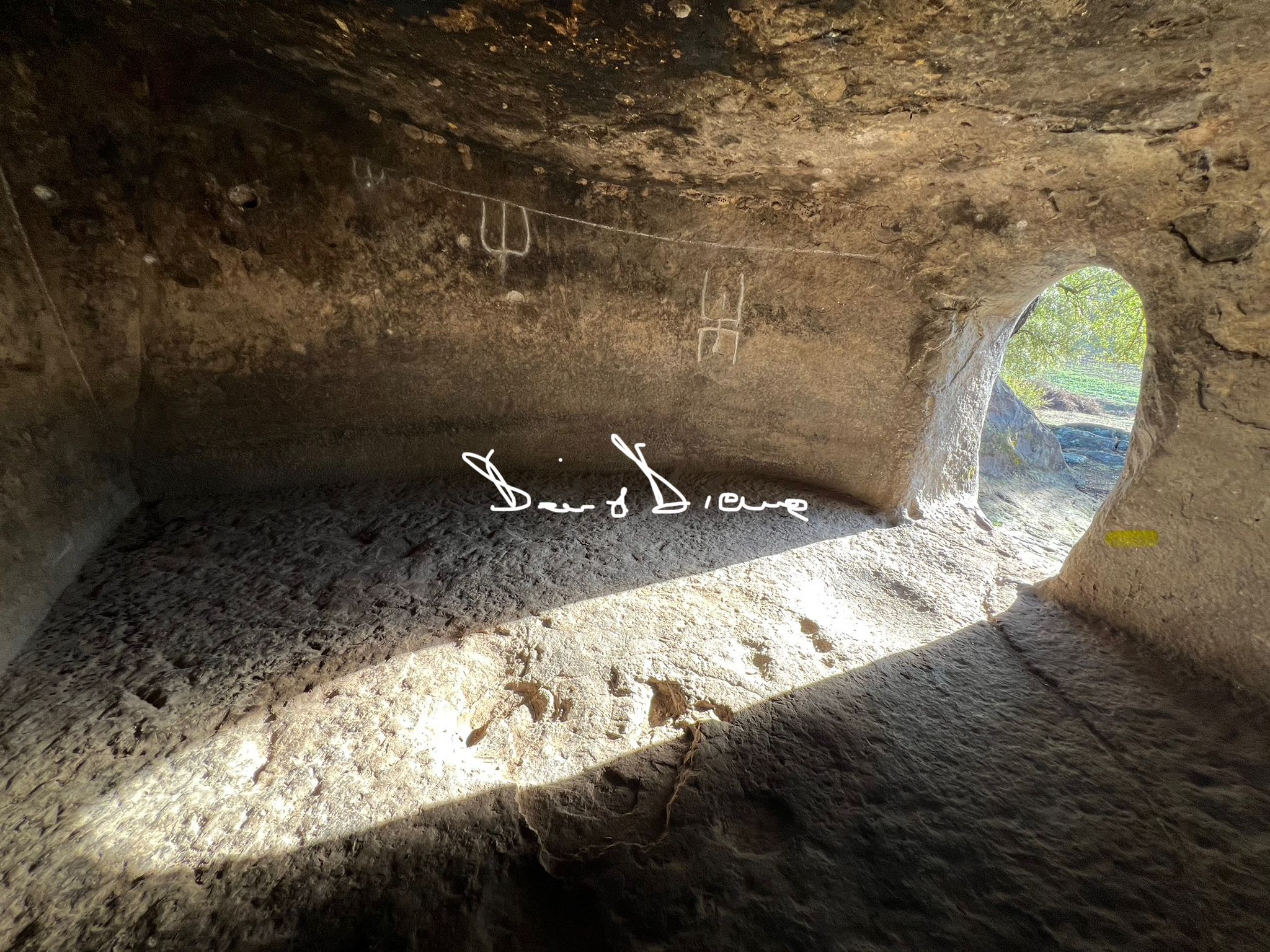 tomba sas concas a oniferi