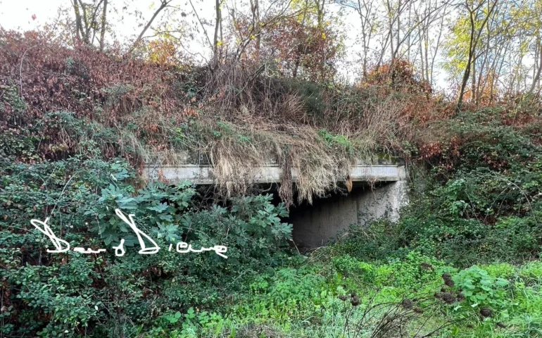 tomba sas concas a oniferi