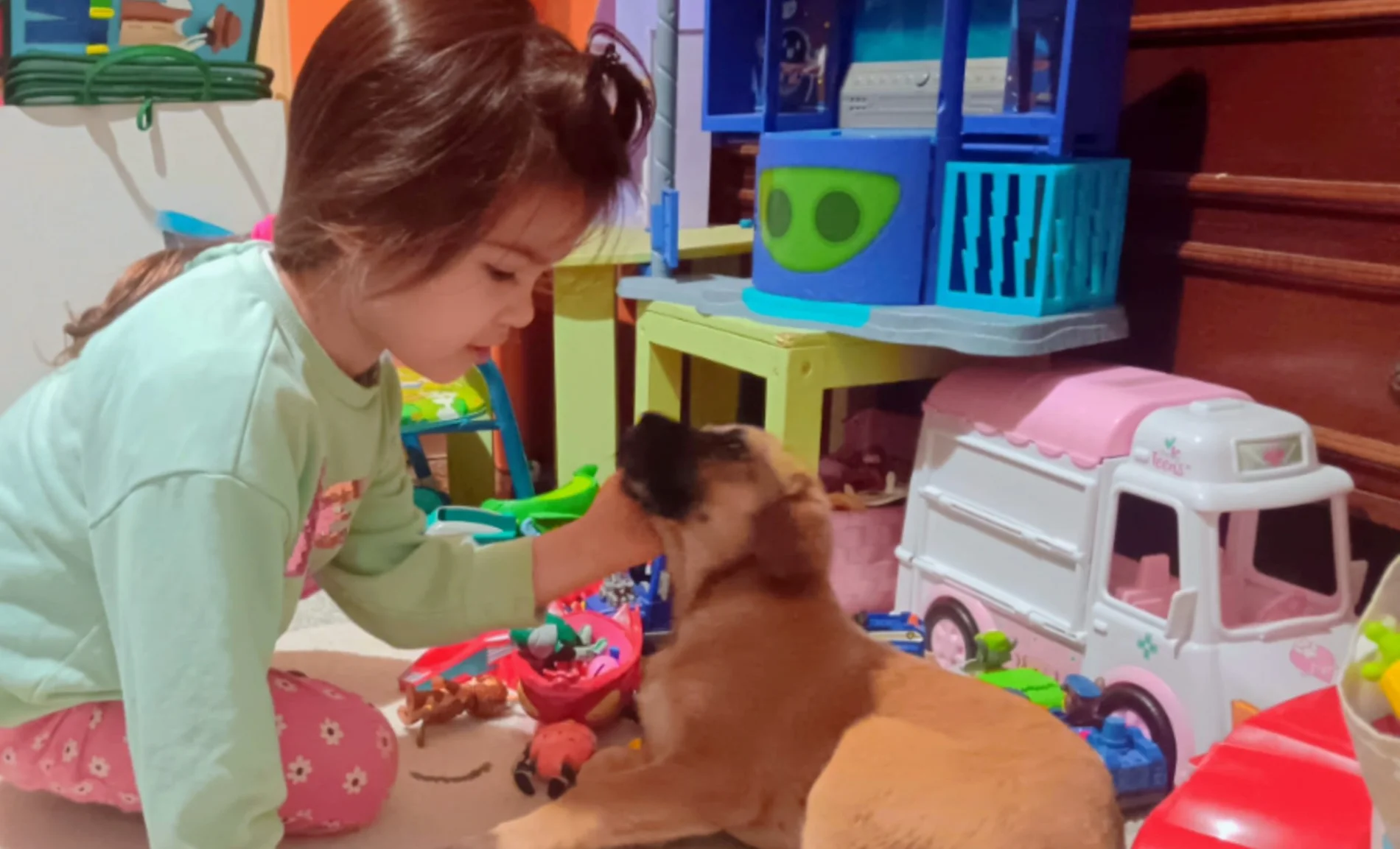 Yvette Mancuso: a 4 anni è la volontaria più piccola d'Ogliastra. La storia della bimba che sa ascoltare gli animali