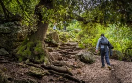 “Sentieri Visivi”: Luca Andretti è il vincitore della categoria Trekking – Fotografia del Festival del Supramonte
