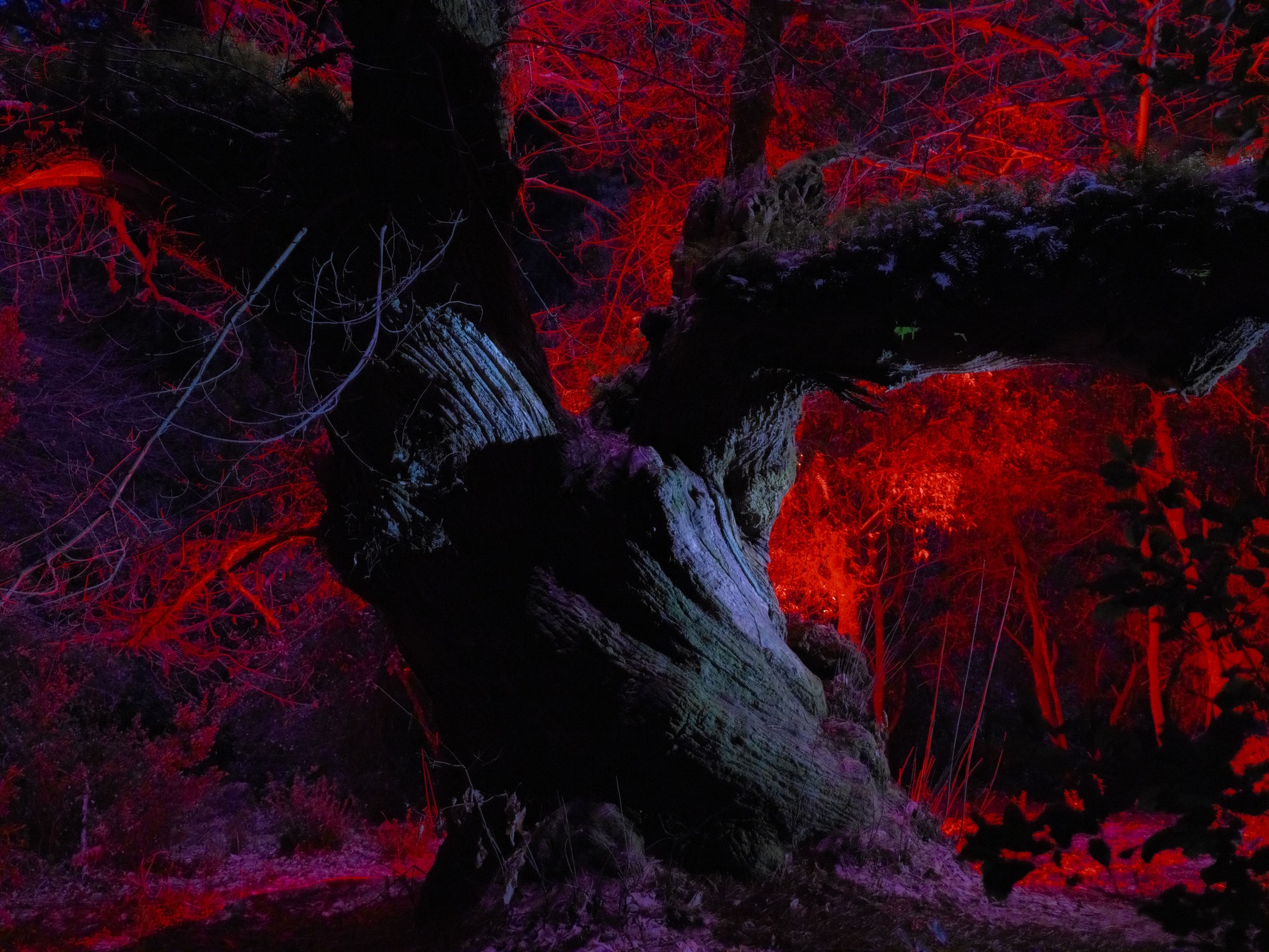 national geoghraphic