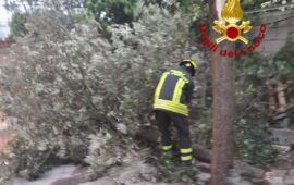 Gli interventi dei Vigili del Fuoco nel Nuorese