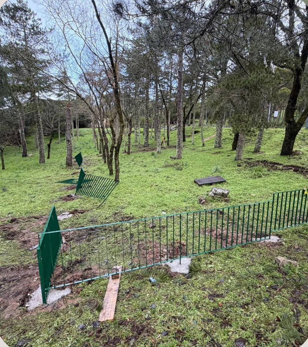 nuoro recinzione divelta