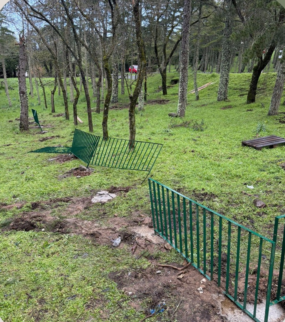 nuoro recinzione divelta