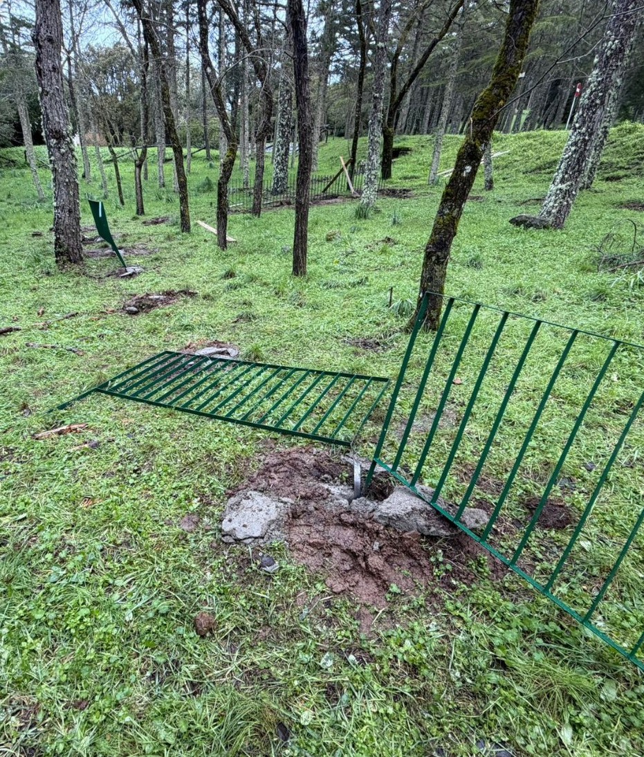 nuoro recinzione divelta