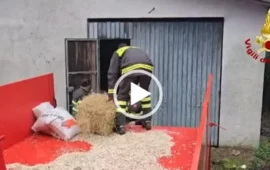 Barbagia sommersa: missione estrema dei Vigili del Fuoco per salvare i pastori di Orgosolo