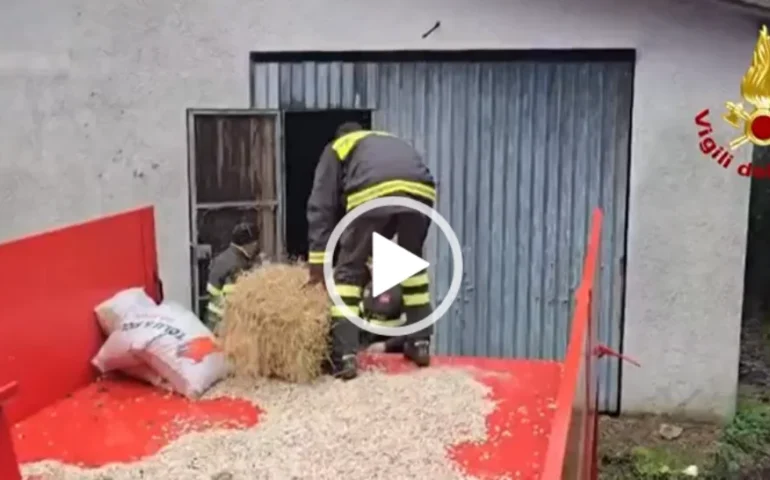 vigili del fuoco a orgosolo