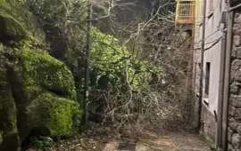 L’Ogliastra si piega al vento: paura a Villagrande, albero abbatte cavi elettrici e isola il centro