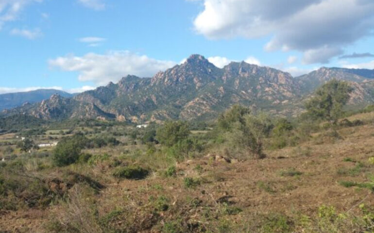 Le colline di granito rosa attorno a Talana