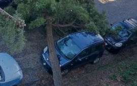 Tragedia sfiorata a Lanusei: un albero cade su alcune auto vicino alla scuola primaria