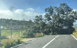 L’Ogliastra piegata dal Maestrale: strade bloccate, blackout e danni in tutto il territorio