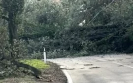 L’Ogliastra travolta dal Maestrale: raffiche record a 160 km/h, a Lanusei strada per Nuoro bloccata