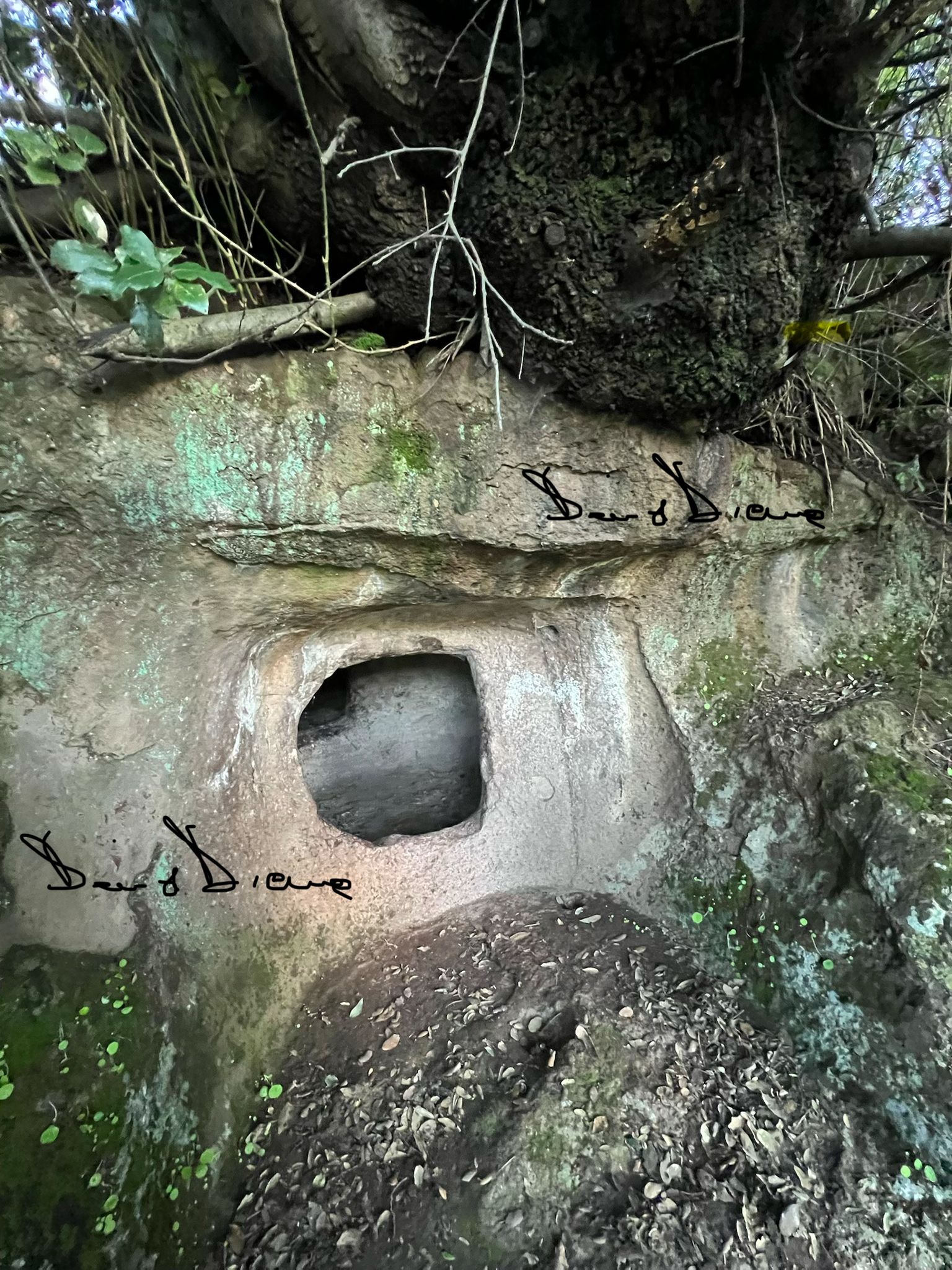 domus de janas seddana 2