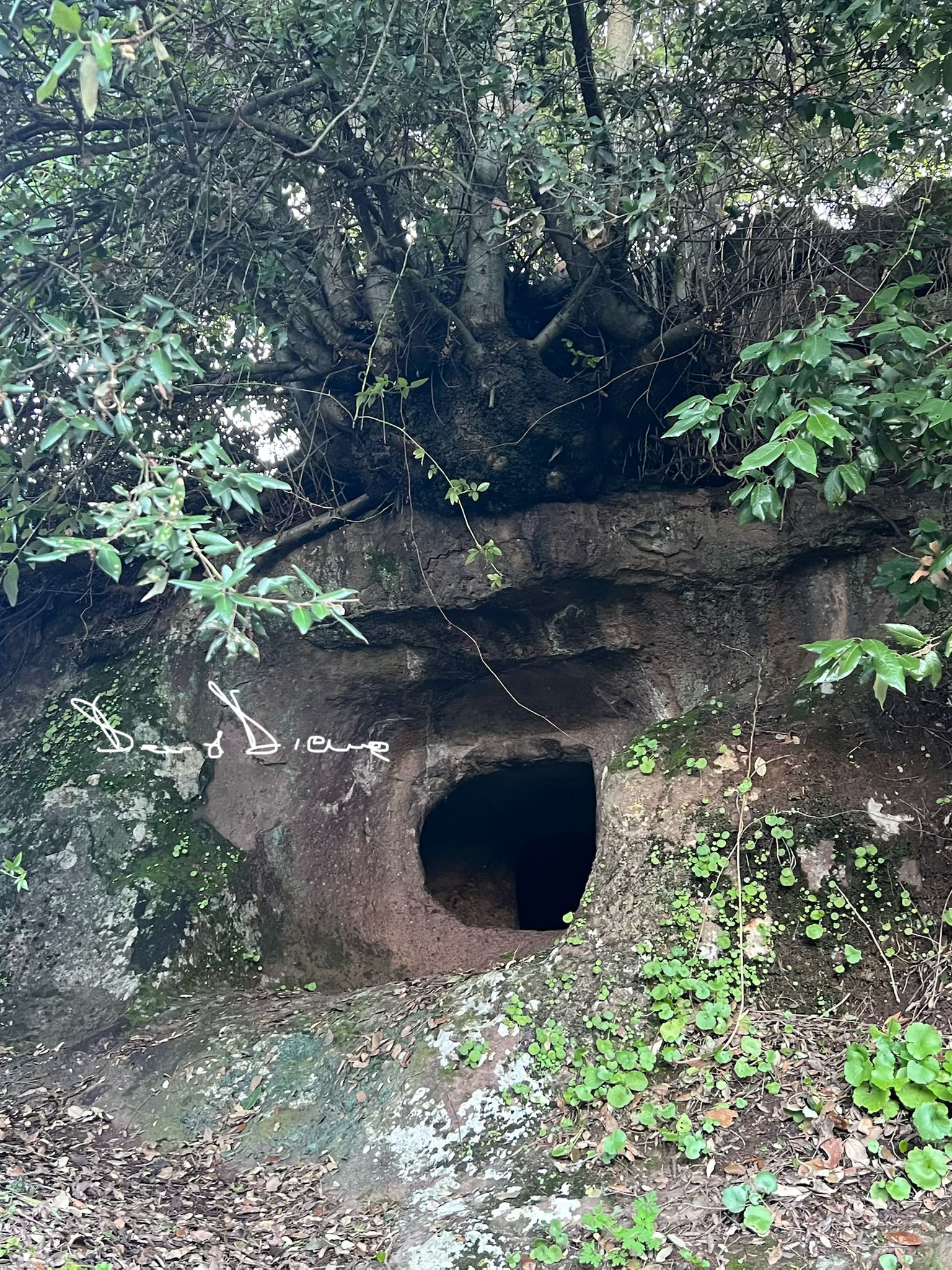 domus de janas seddana