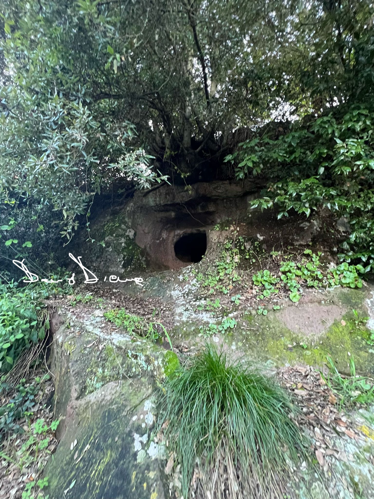 domus de janas seddana