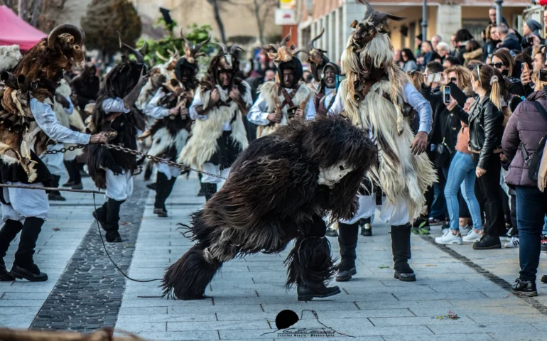 gairo su marti perra