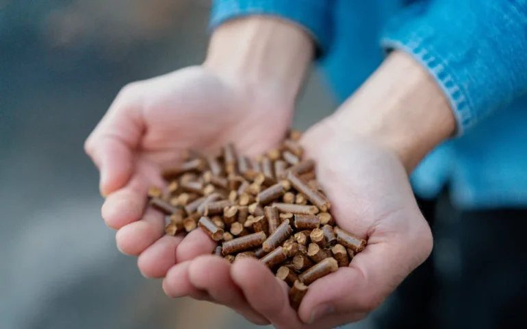 pellet, immagine di repertorio