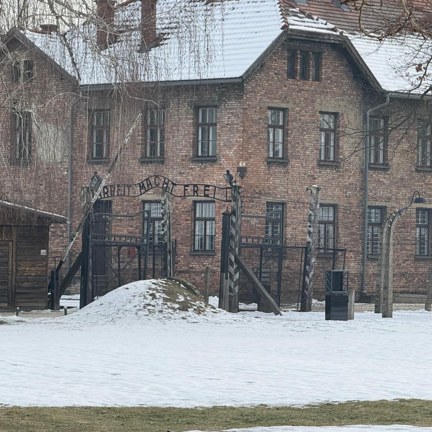 ragazzi ogliastrini ad Auschwitz