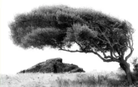 Lotzorai, immagini e parole per raccontare la Sardegna: presentazione de “Il Paese del Vento”