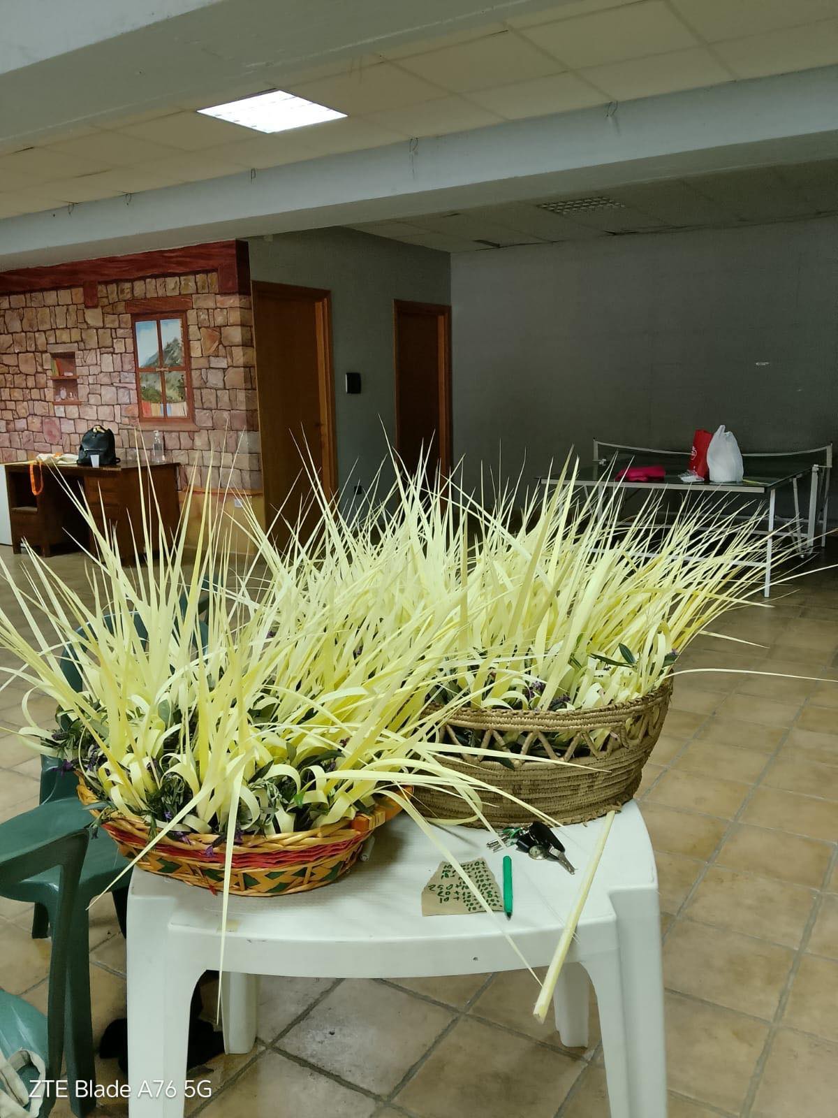 baunei domenica delle palme