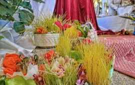 Su Nenniri in Sardegna: i germogli del Giovedì Santo simbolo di rinascita pasquale