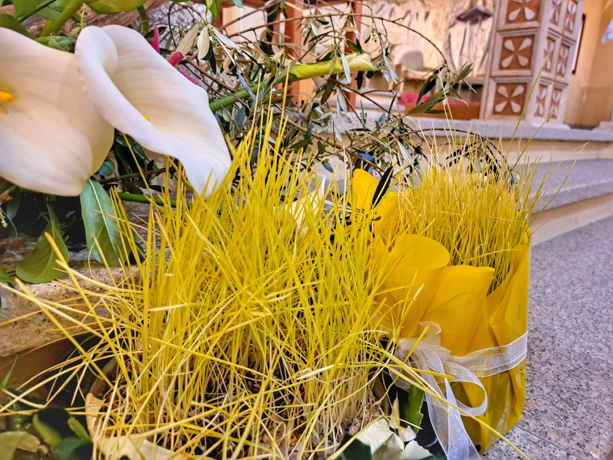 Su Nenniri PH Alessandra Useli