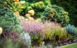 Villagrande si rifà il look: al via il piano di restyling per il verde pubblico