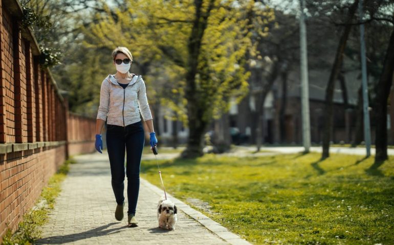 Il Governo cambia idea: sì alle passeggiate con il cane