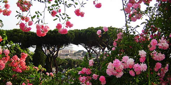 Lo sapevate? Il magnifico roseto di Roma ospita più di mille specie di rose diverse