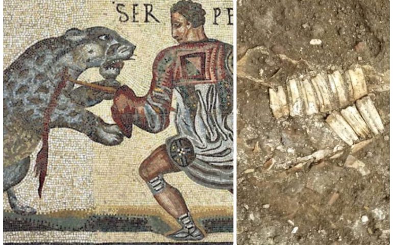 Lo sapevate? Gli scavi dei collettori fognari del Colosseo hanno restituito gli scheletri di numerosi animali esotici