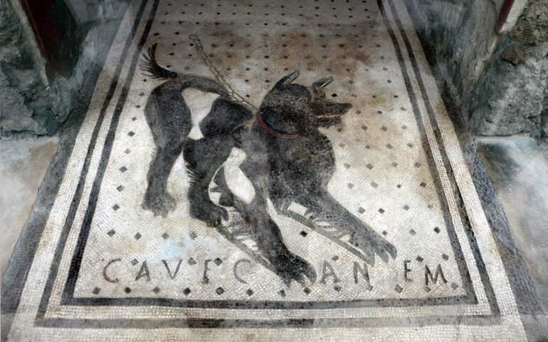 “Cave Canem”. Che rapporto avevano gli antichi romani con il cane?