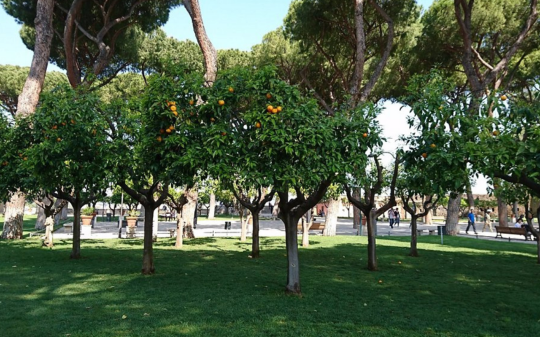 Roma, il giardino degli Aranci: una luogo incantato e speciale
