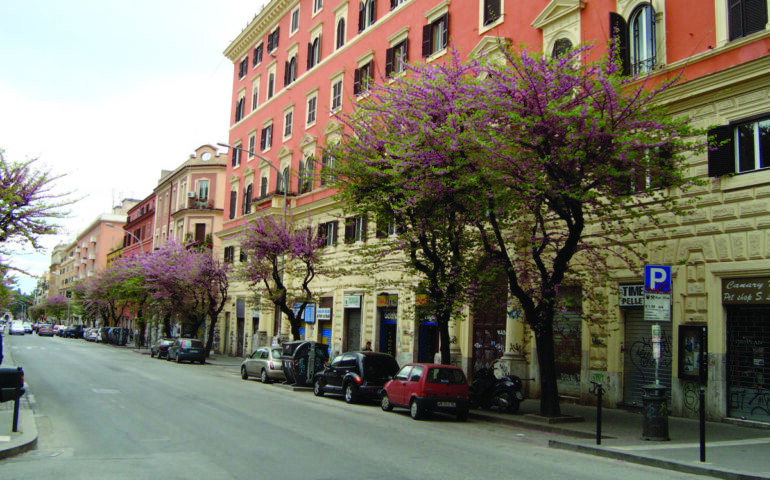 San Lorenzo bella e dannata, le due facce del “Quartiere degli studenti”