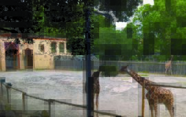 Il Bioparco di Roma