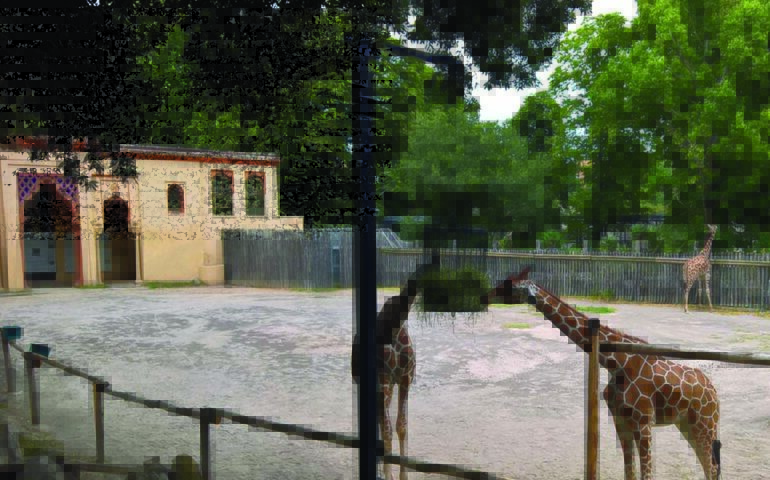 Lo sapevate? il Bioparco di Roma è il giardino zoologico più antico d’Italia