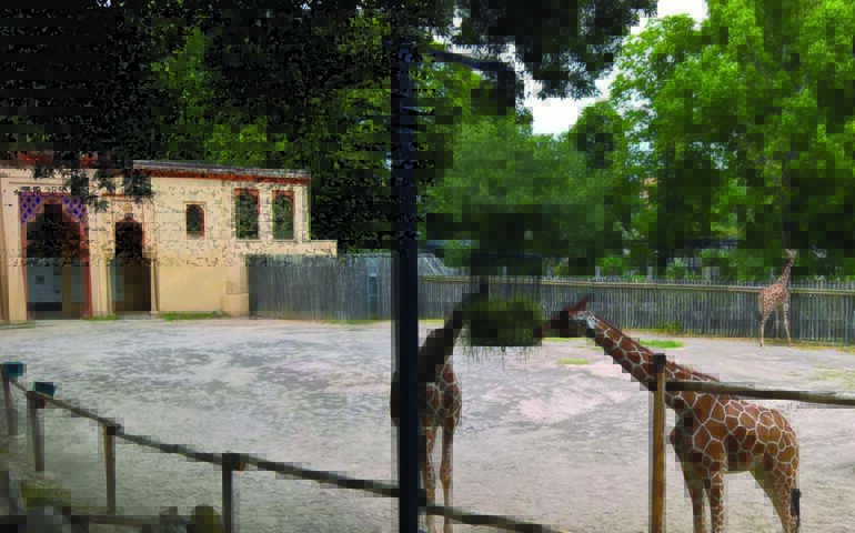 Il Bioparco di Roma
