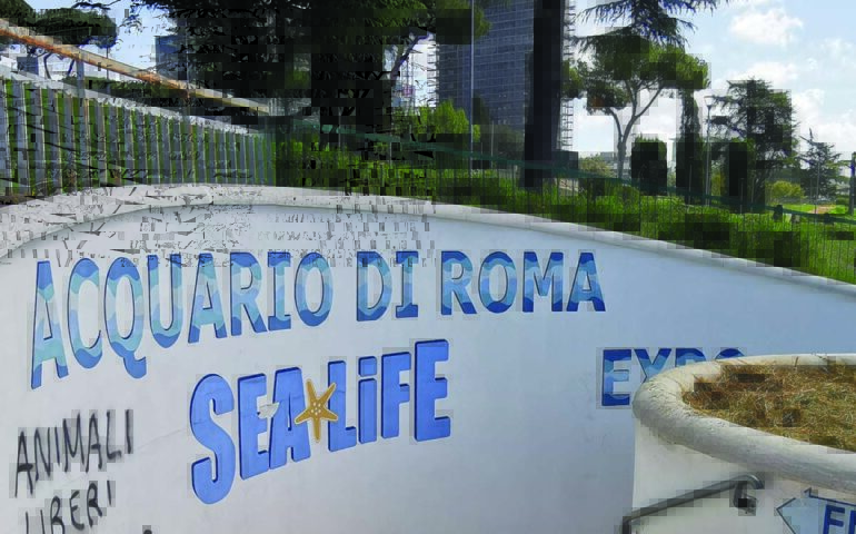 L’acquario di Roma è atteso dal 2006 ma dopo 17 anni è ancora tutto in alto mare