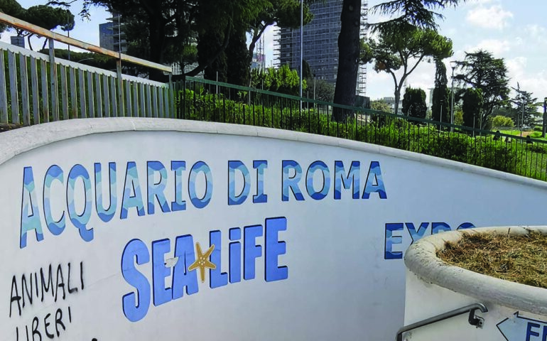 L’acquario di Roma è atteso dal 2006 ma dopo 17 anni è ancora tutto in alto mare