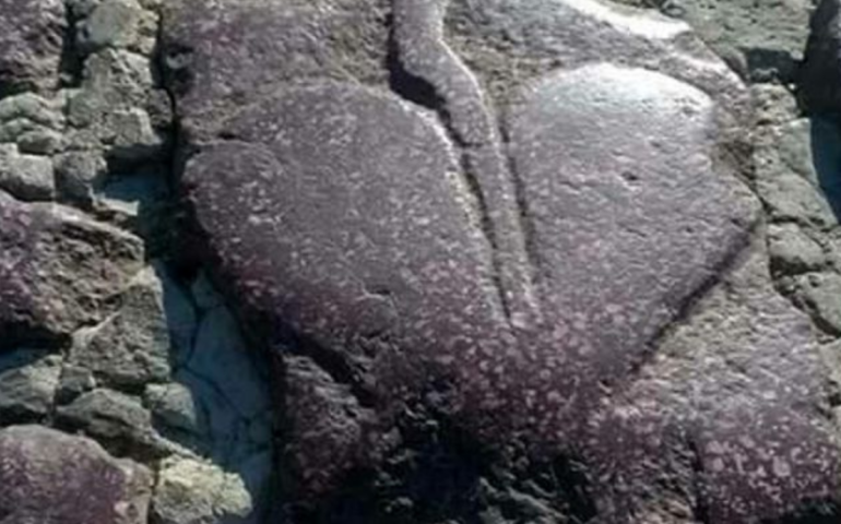 Il sanpietrino a forma di cuore