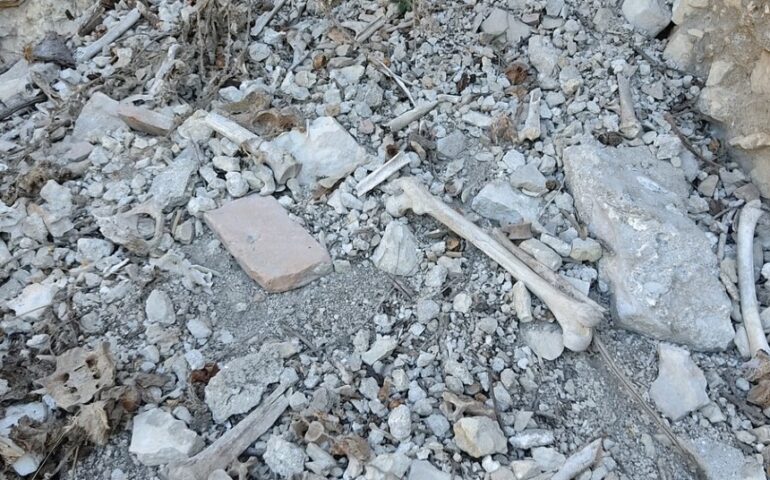 Camerata Vecchia, sito archeologico completamente abbandonato: spuntano ossa umane tra le rovine