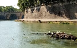 Verso il ritorno alla balneabilità del Tevere: il percorso operativo per la rigenerazione ecosistemica della Capitale