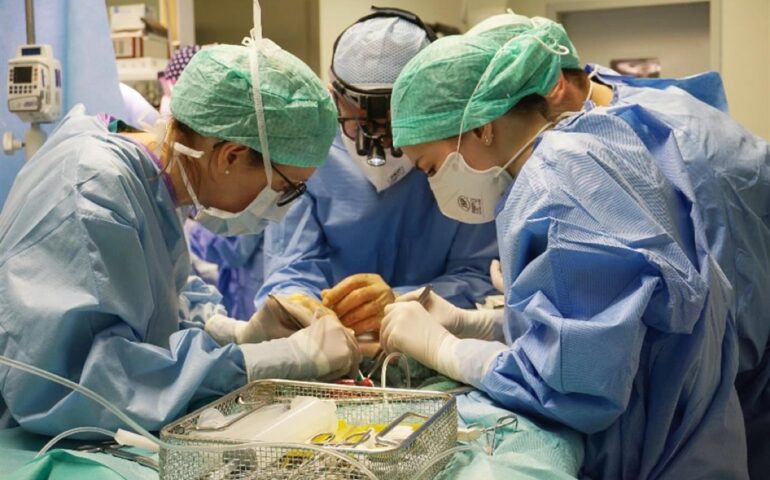 Roma, effettuato con successo il primo trapianto di fegato da donatore cadavere senza trasfusioni